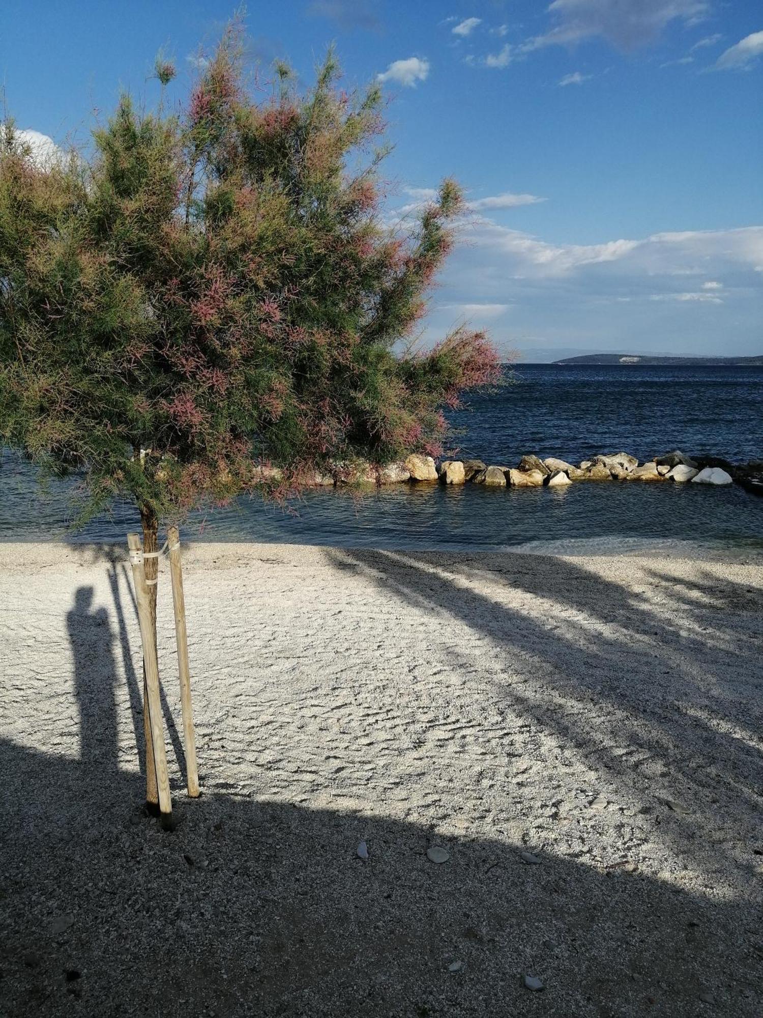 Apartman Jezidzic Kastela Oda fotoğraf